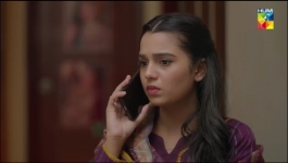 Daam-e-Mohabbat - Episode 17 - 20th January 2026